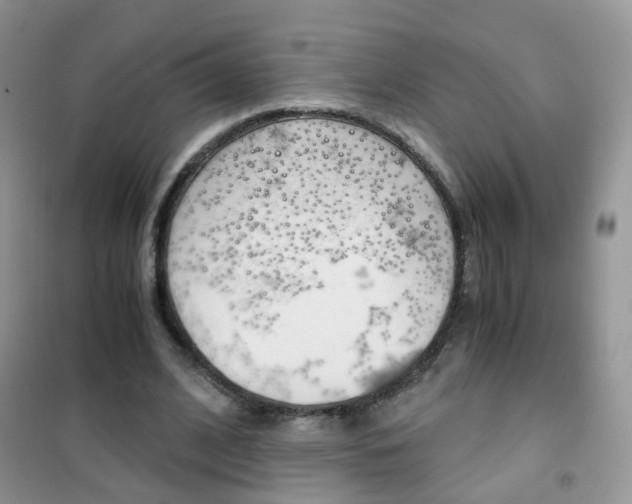 X0000102340584200808010914