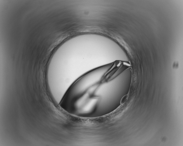 X0000102340585200808010914