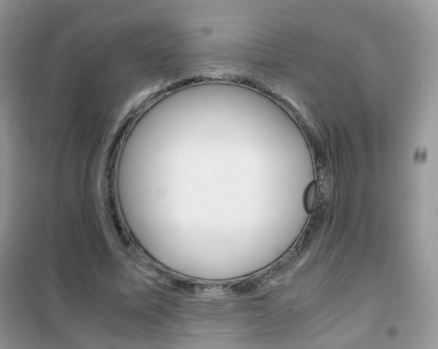 X0000102340587200808010914