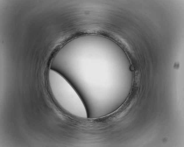 X0000102340589200808010914