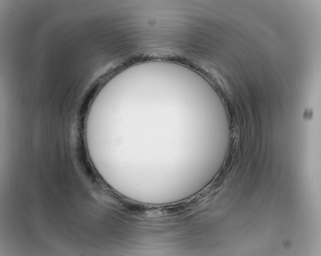 X0000102340591200808010914