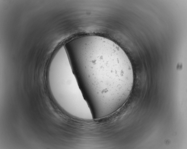 X0000102340592200808010914