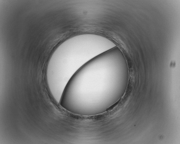 X0000102340593200808010914