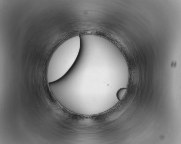 X0000102340594200808010914