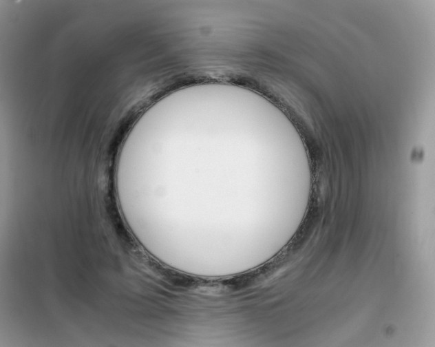 X0000102340595200808010914