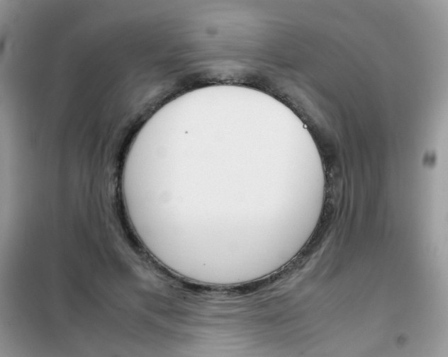 X0000102340597200808010914