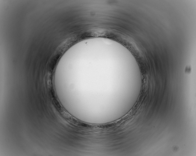 X0000102340598200808010914