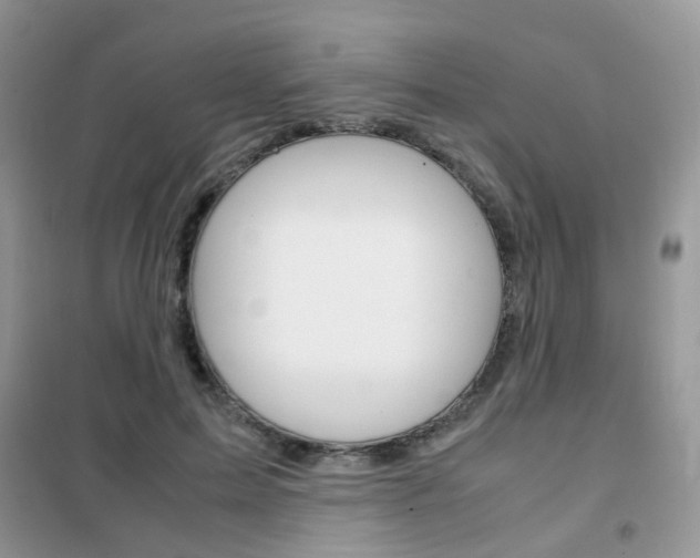 X0000102340599200808010914