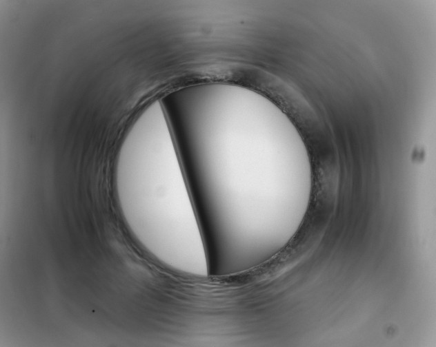X0000102340600200808010914