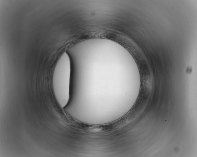 X0000102340602200808010914