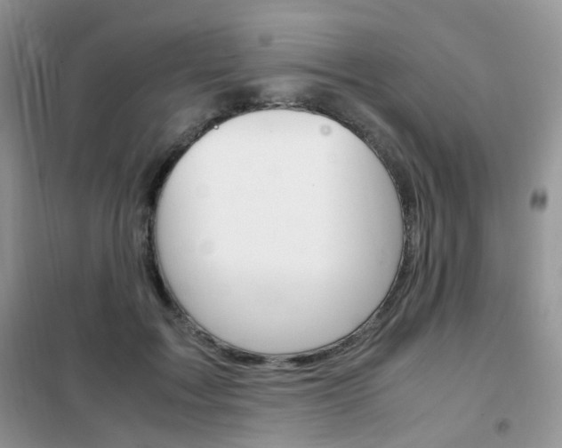 X0000102340603200808010914