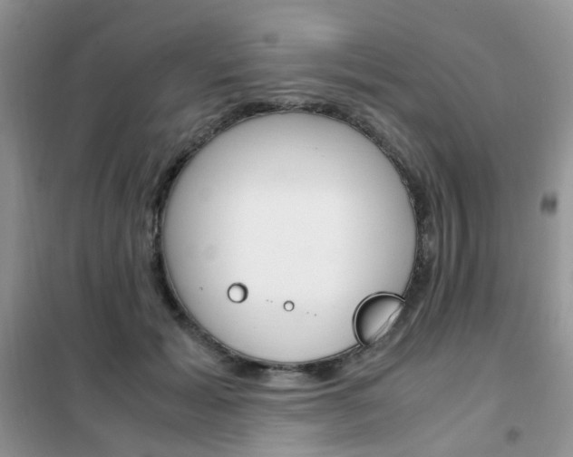 X0000102340605200808010914