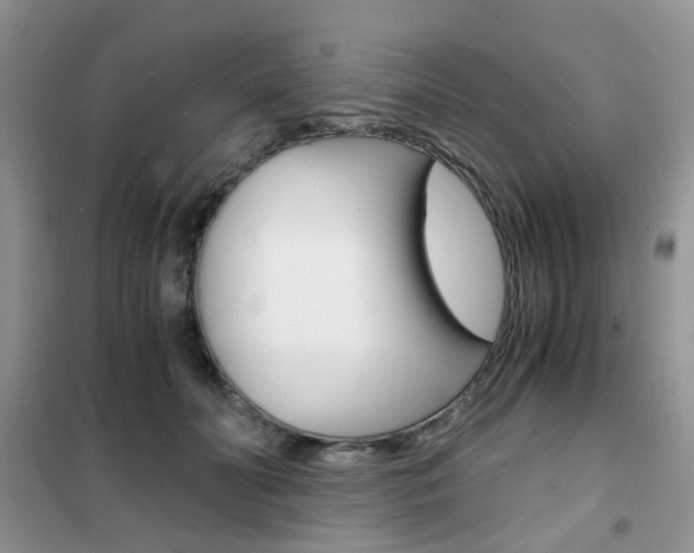 X0000102340606200808010914