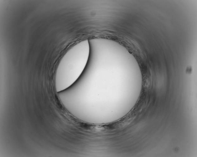 X0000102340607200808010914