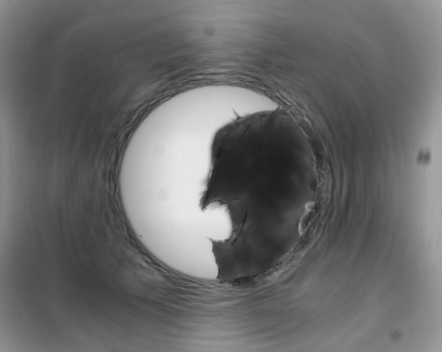 X0000102340609200808010914