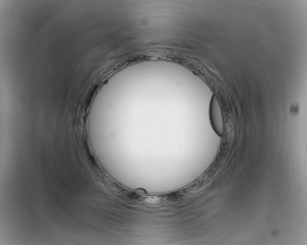 X0000102340611200808010914