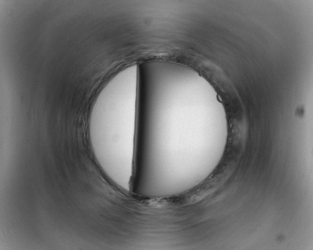 X0000102340612200808010914