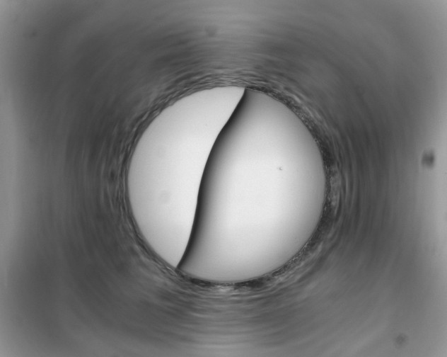 X0000102340613200808010914