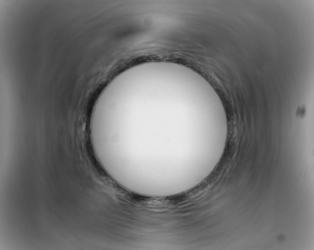 X0000102340615200808010914