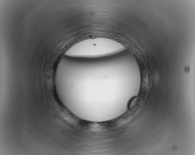 X0000102340616200808010914