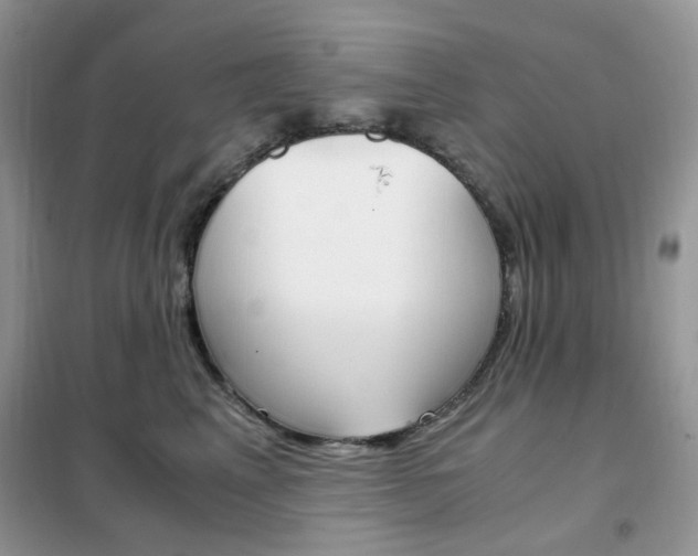 X0000102340617200808010914