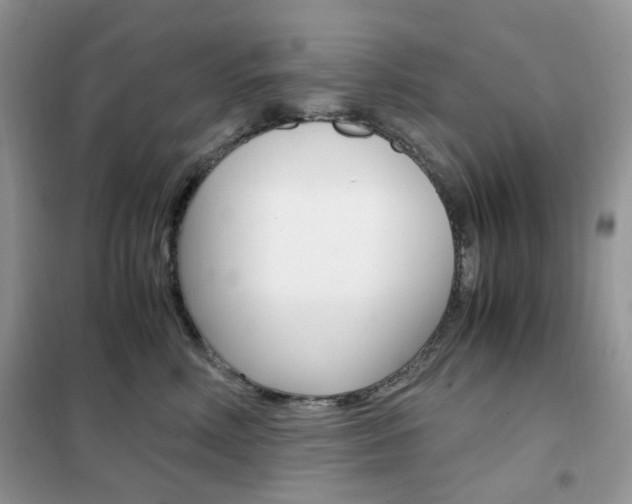 X0000102340618200808010914