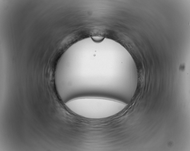 X0000102340619200808010914