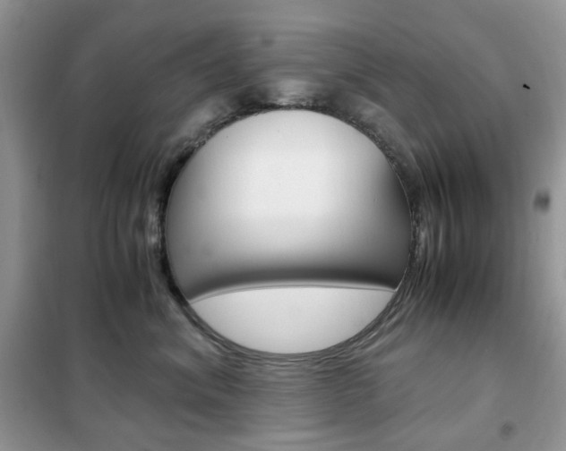 X0000102340620200808010914