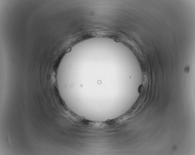 X0000102340621200808010914