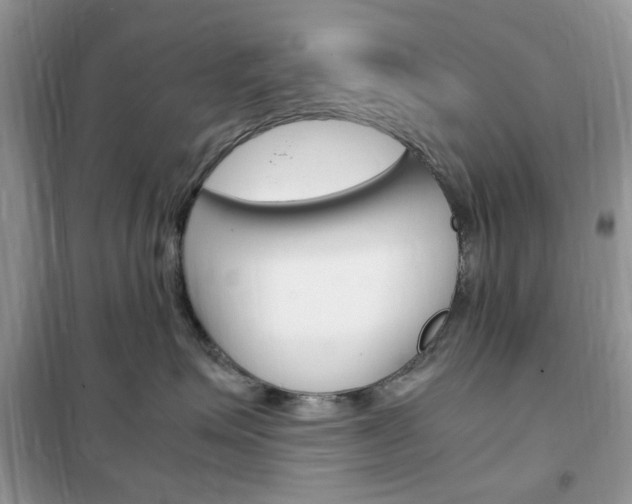 X0000102340623200808010914