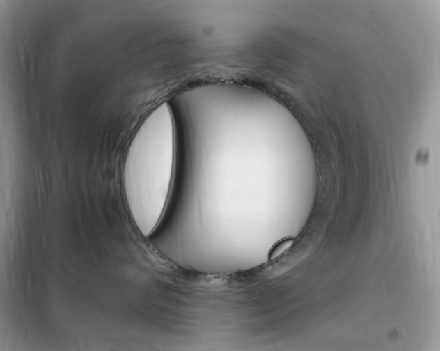 X0000102340624200808010914