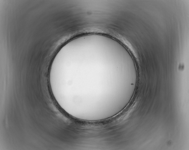 X0000102340625200808010913