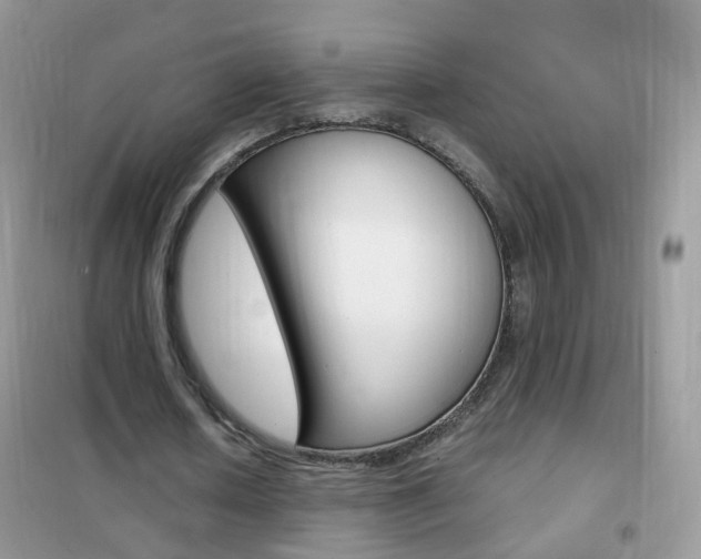 X0000102340626200808010913