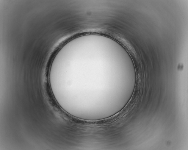X0000102340628200808010913