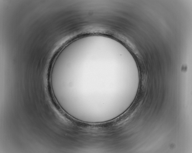 X0000102340629200808010913