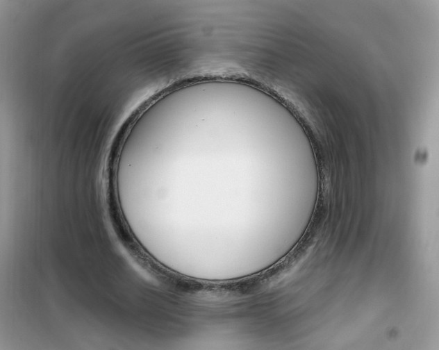 X0000102340630200808010913