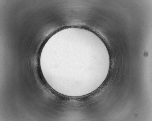 X0000102340632200808010913