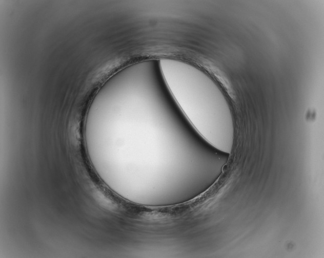 X0000102340633200808010913