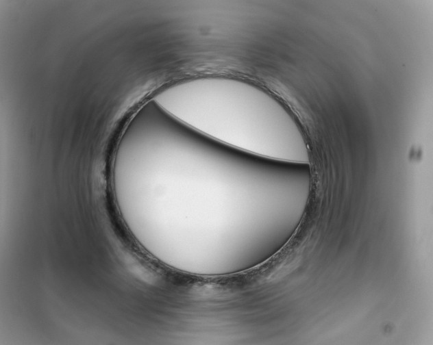 X0000102340634200808010913