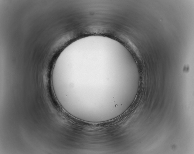 X0000102340635200808010913