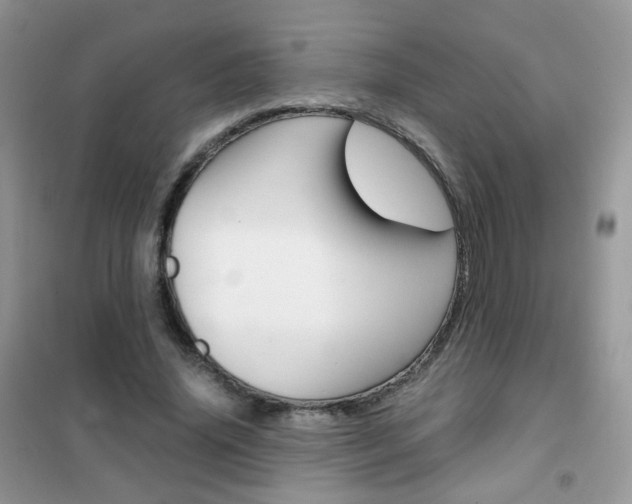 X0000102340636200808010913
