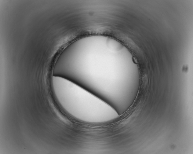 X0000102340638200808010913