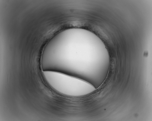 X0000102340639200808010913