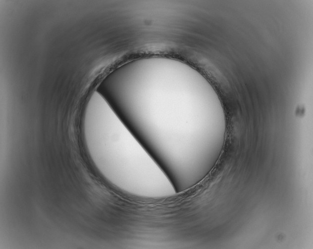 X0000102340640200808010913