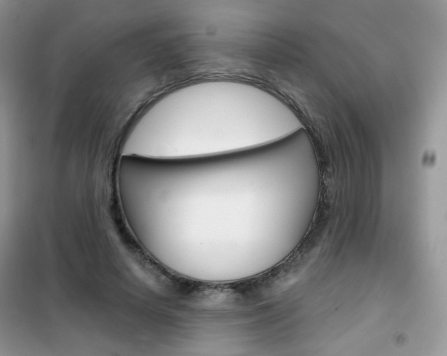 X0000102340642200808010913