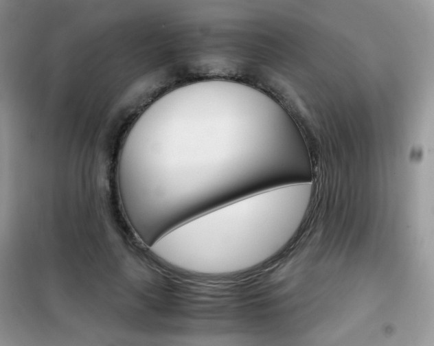 X0000102340643200808010913