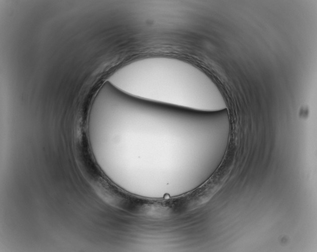 X0000102340644200808010913