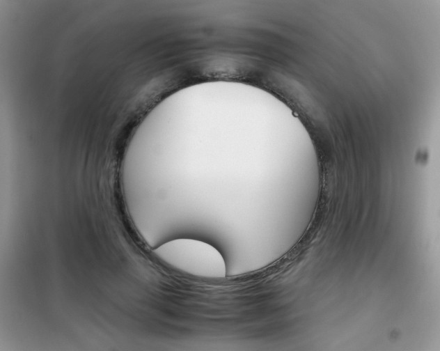 X0000102340645200808010913