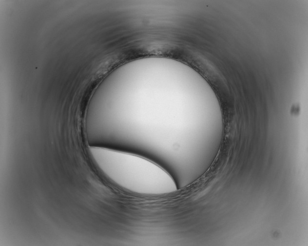 X0000102340646200808010913