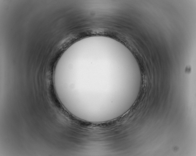 X0000102340648200808010913